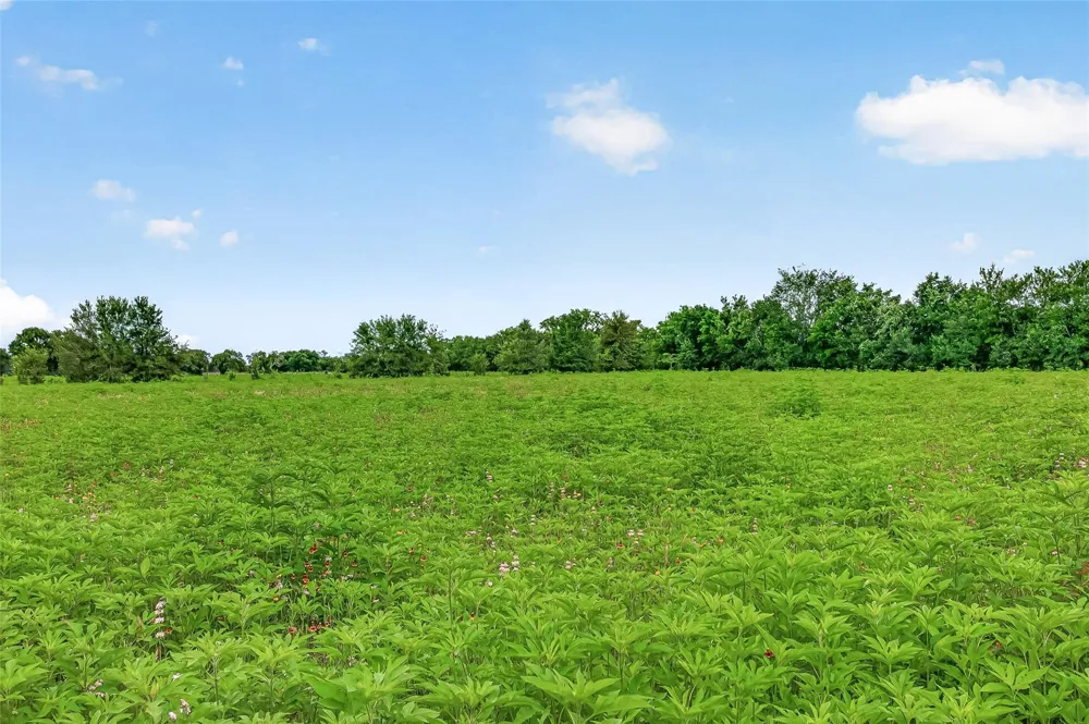 Cr 117 Wharton, TX 77488