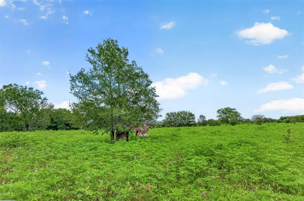 Cr 117 Wharton, TX 77488