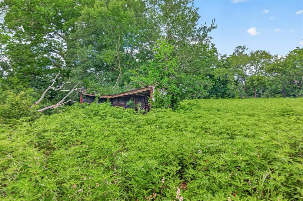 Cr 117 Wharton, TX 77488