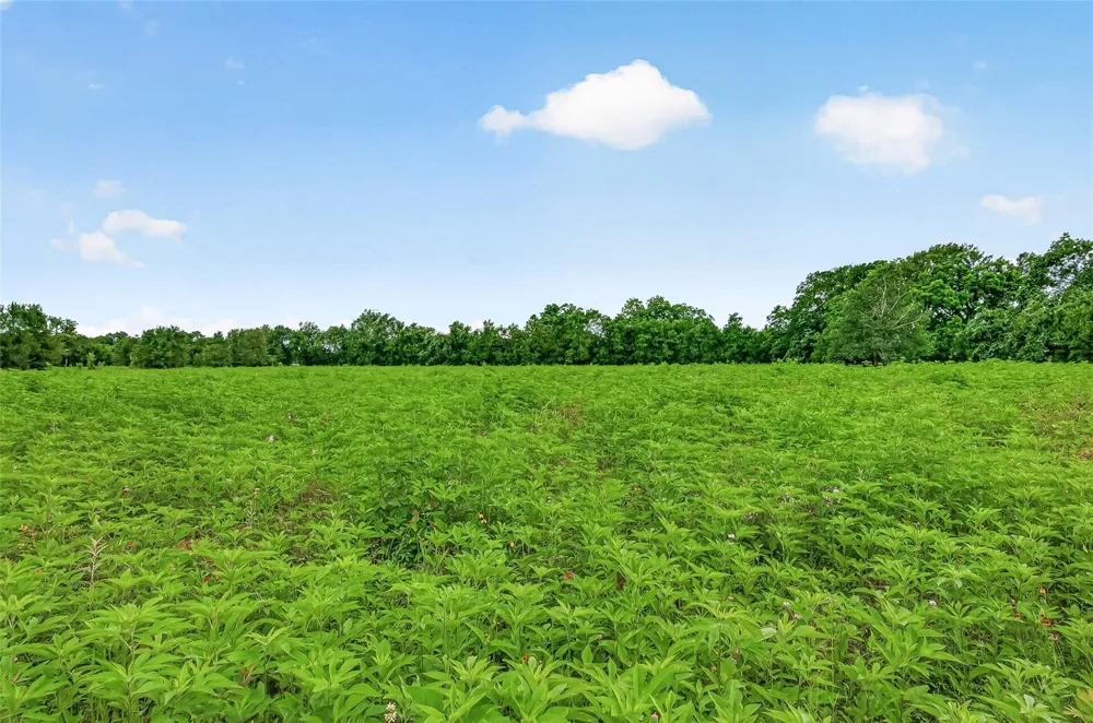 Cr 117 Wharton, TX 77488