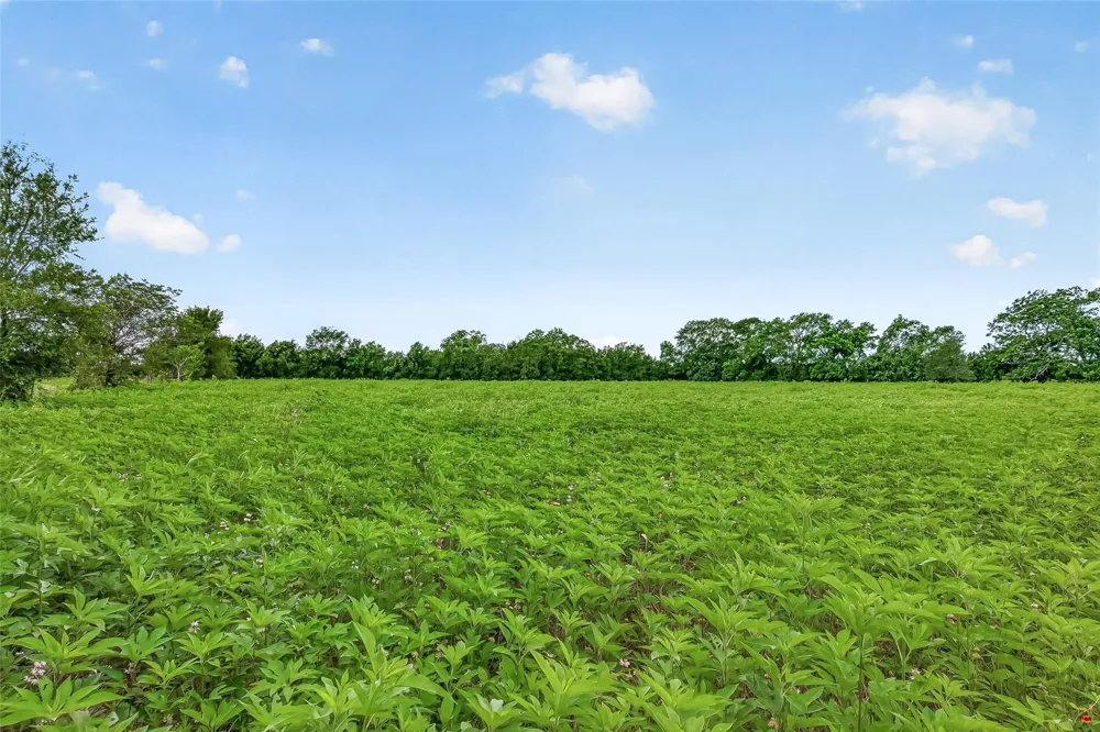 Cr 117 Wharton, TX 77488
