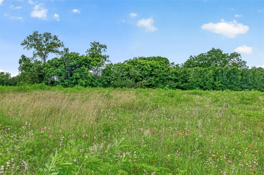 Cr 117 Wharton, TX 77488