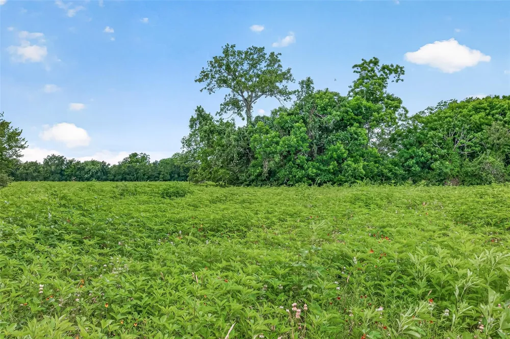 Cr 117 Wharton, TX 77488