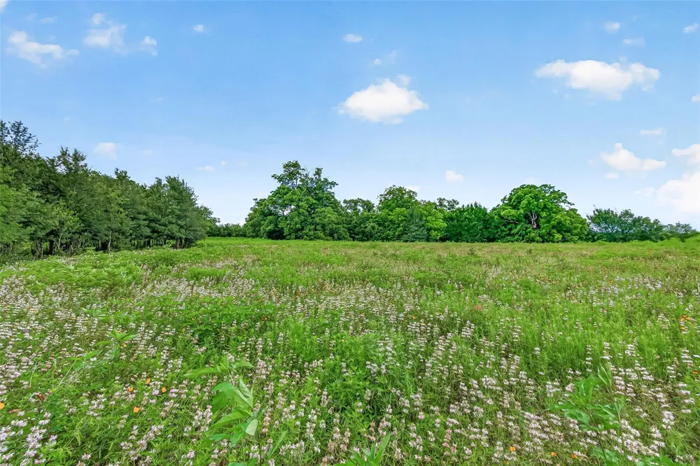 Cr 117 Wharton, TX 77488