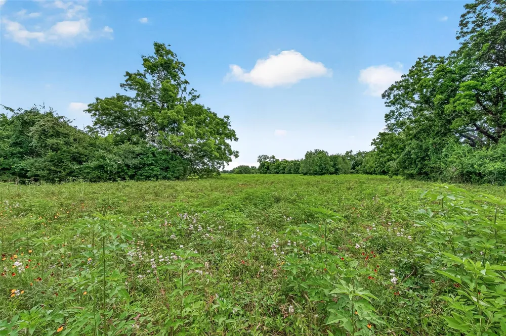 Cr 117 Wharton, TX 77488