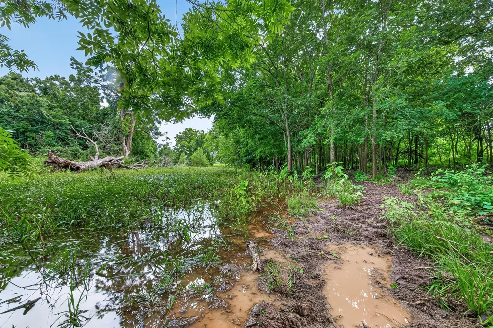 Cr 117 Wharton, TX 77488
