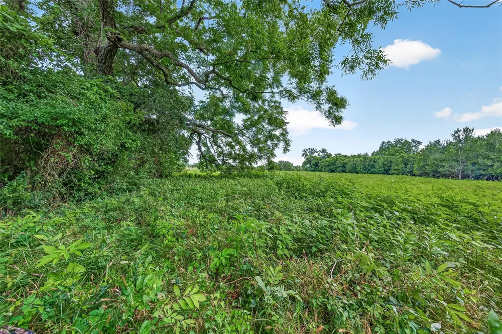 Cr 117 Wharton, TX 77488