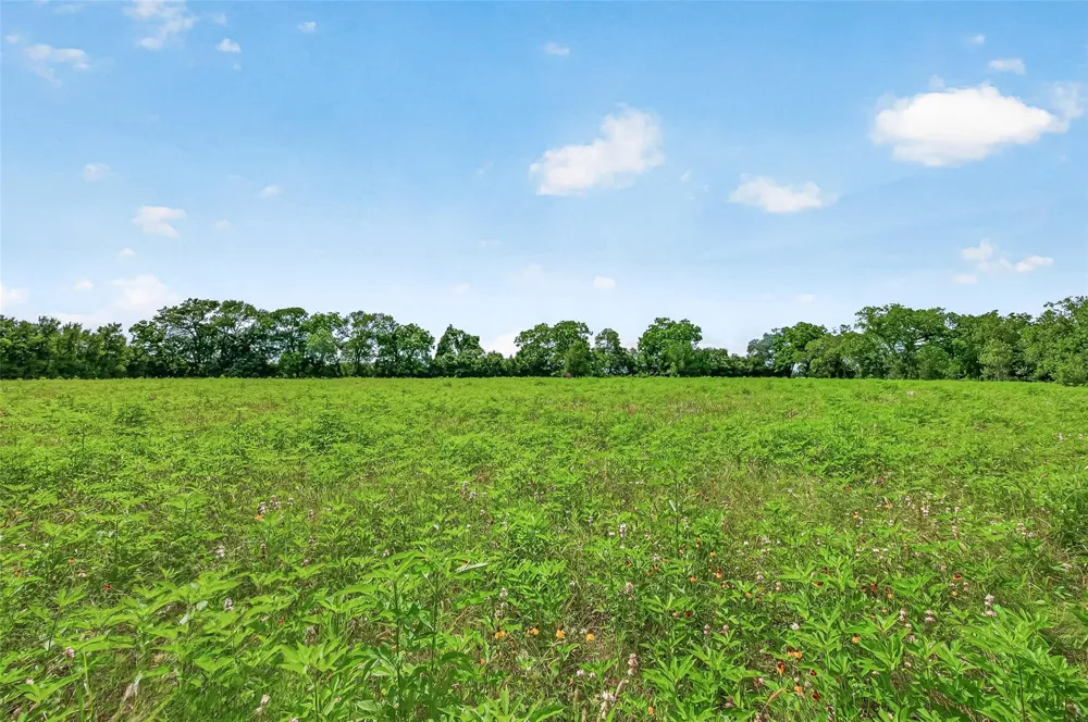 Cr 117 Wharton, TX 77488