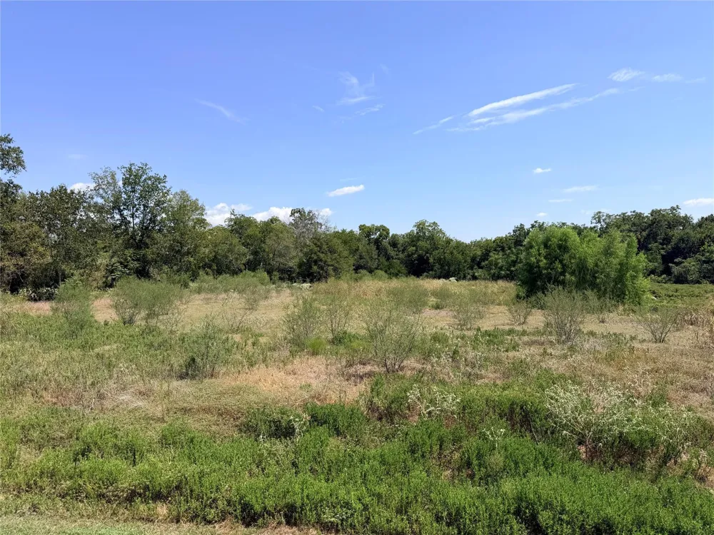 36 Winding Branch Chappell Hill, TX 77426