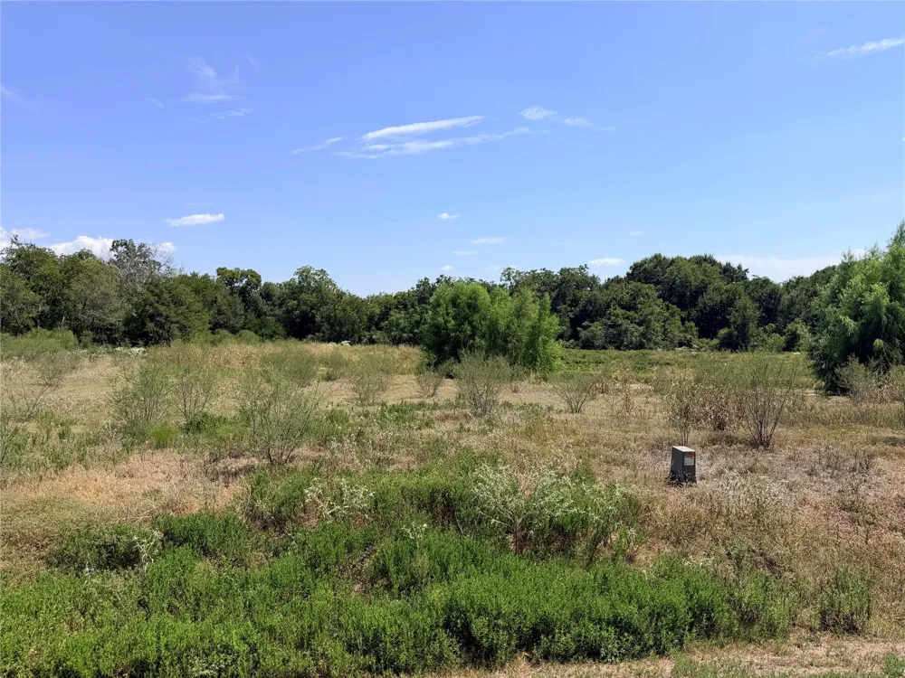 36 Winding Branch Chappell Hill, TX 77426