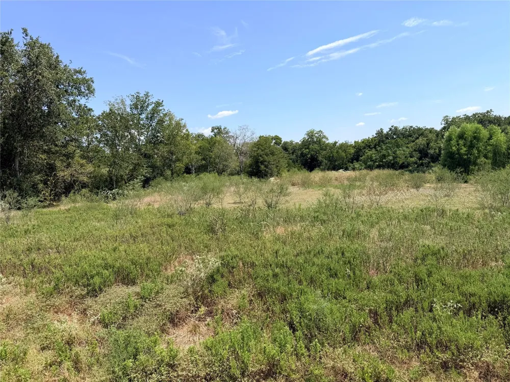 36 Winding Branch Chappell Hill, TX 77426