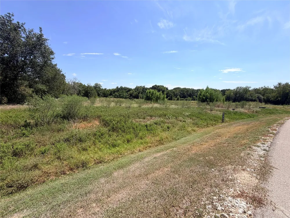36 Winding Branch Chappell Hill, TX 77426