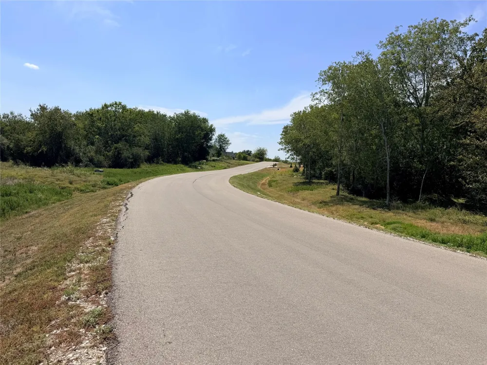 36 Winding Branch Chappell Hill, TX 77426