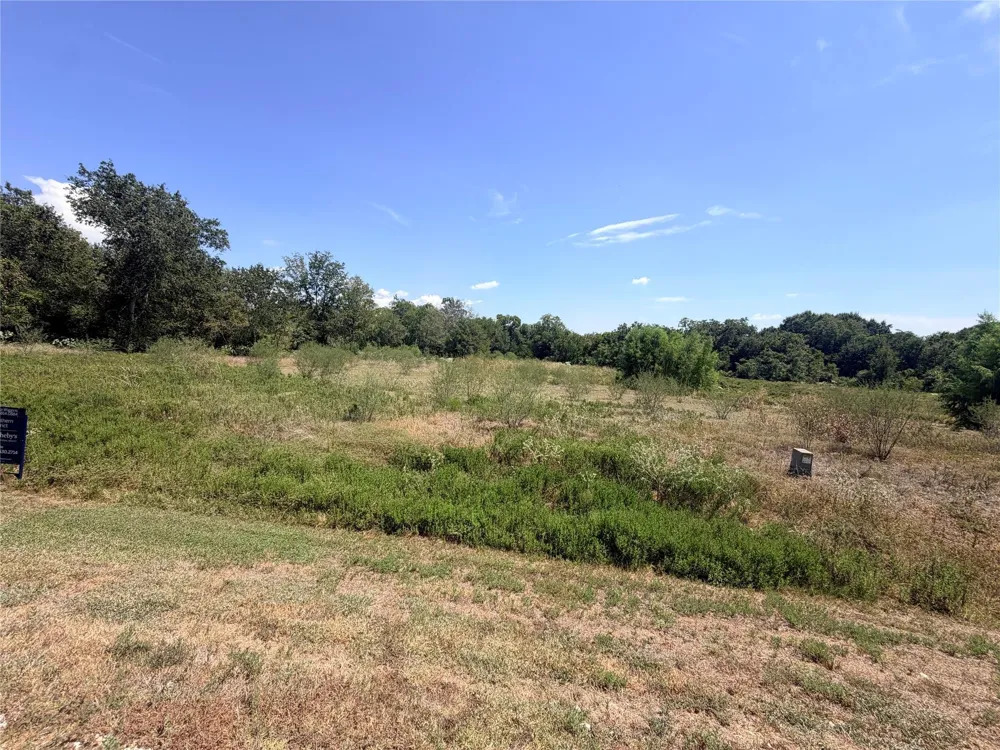 36 Winding Branch Chappell Hill, TX 77426