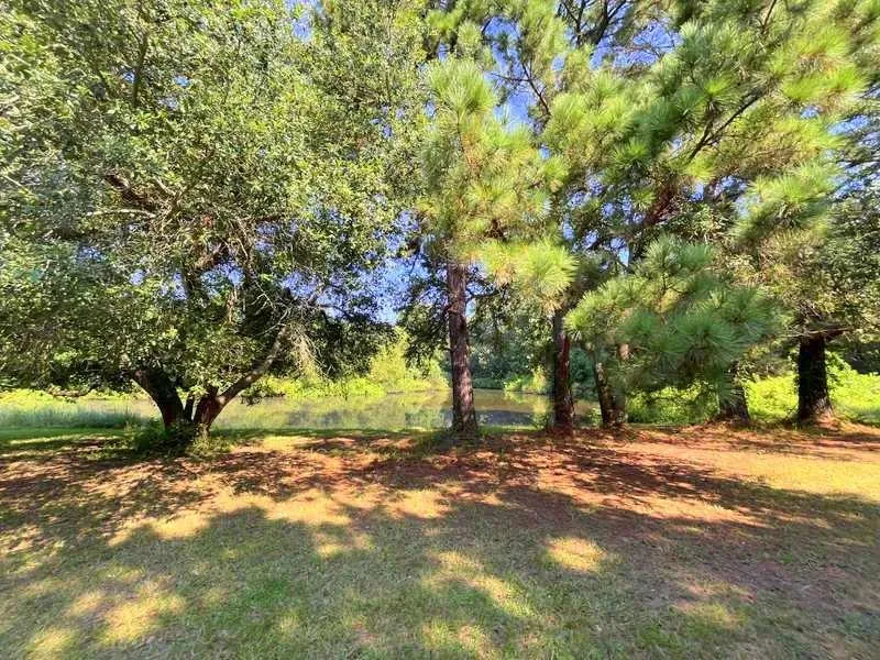 1384 E Fm 2712 Crockett, TX 75835