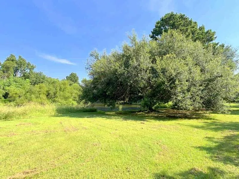 1384 E Fm 2712 Crockett, TX 75835