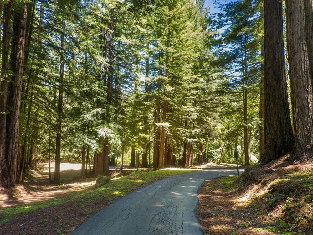 2800 Lockhart Gulch Scotts Valley, CA 95066