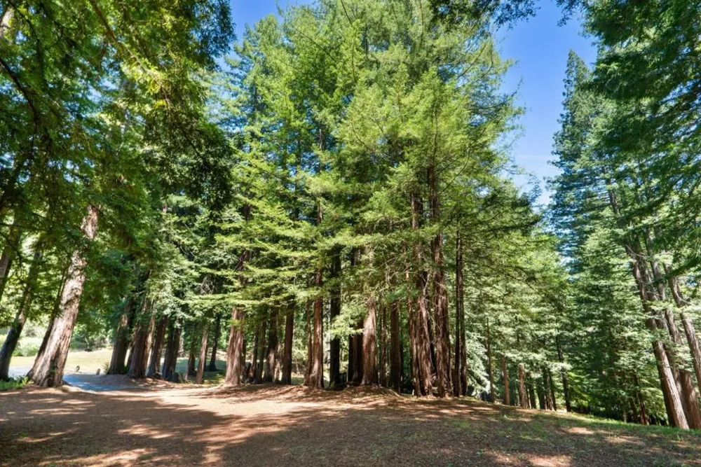 2800 Lockhart Gulch Scotts Valley, CA 95066