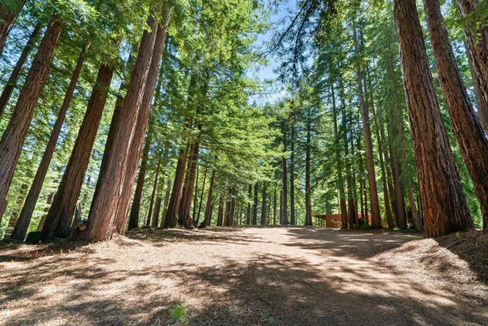2800 Lockhart Gulch Scotts Valley, CA 95066