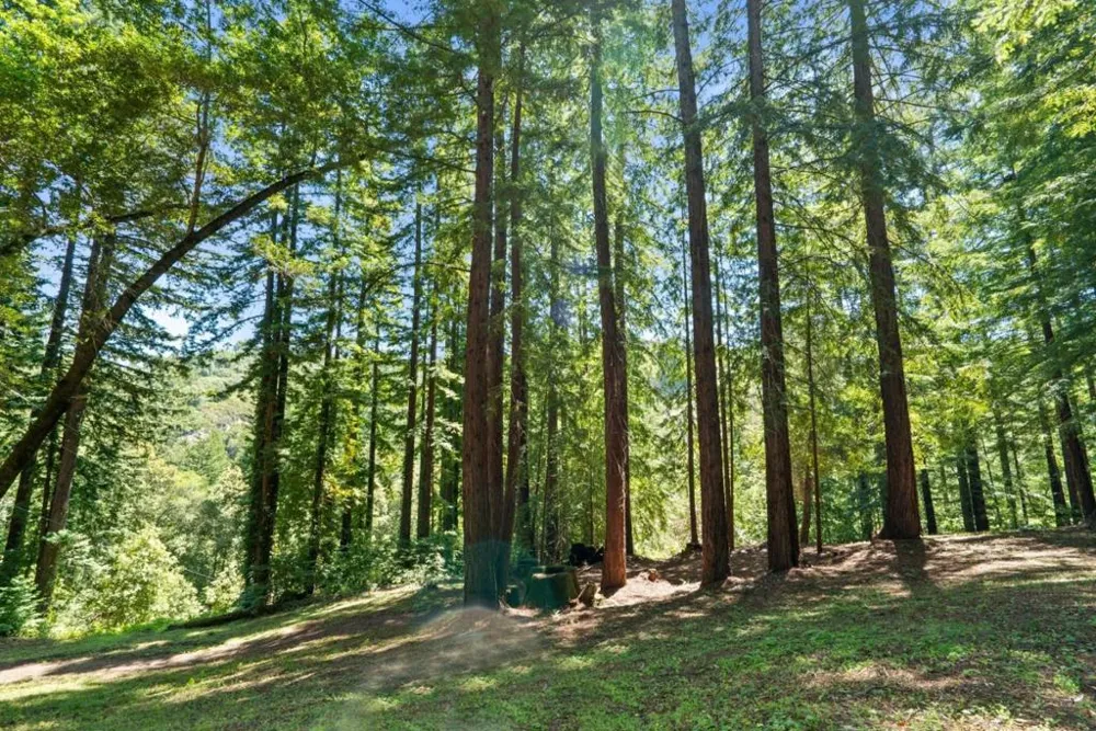 2800 Lockhart Gulch Scotts Valley, CA 95066