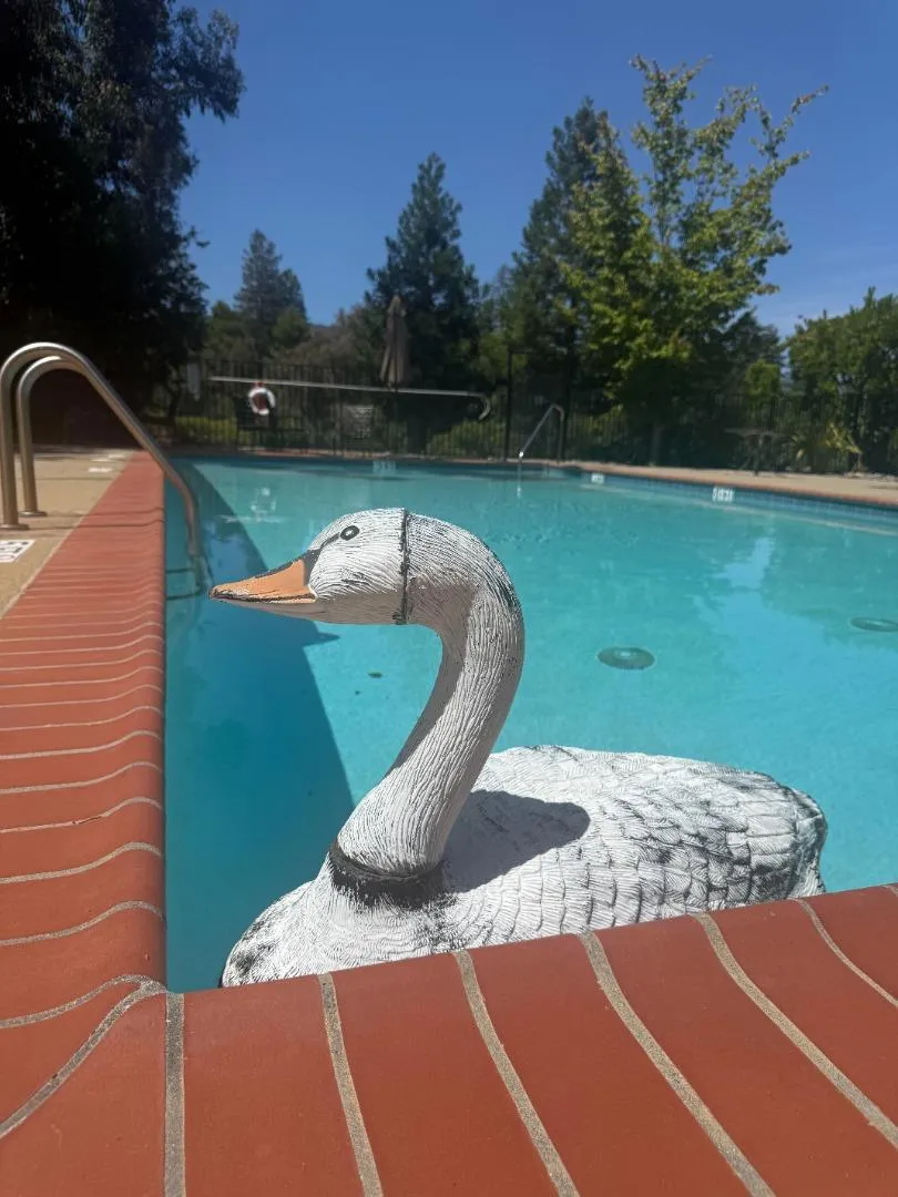 135 Vista Del Lago Los Gatos, CA 95032