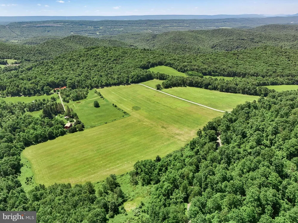 0 STEELE HOLLOW ROAD Julian, PA 16844