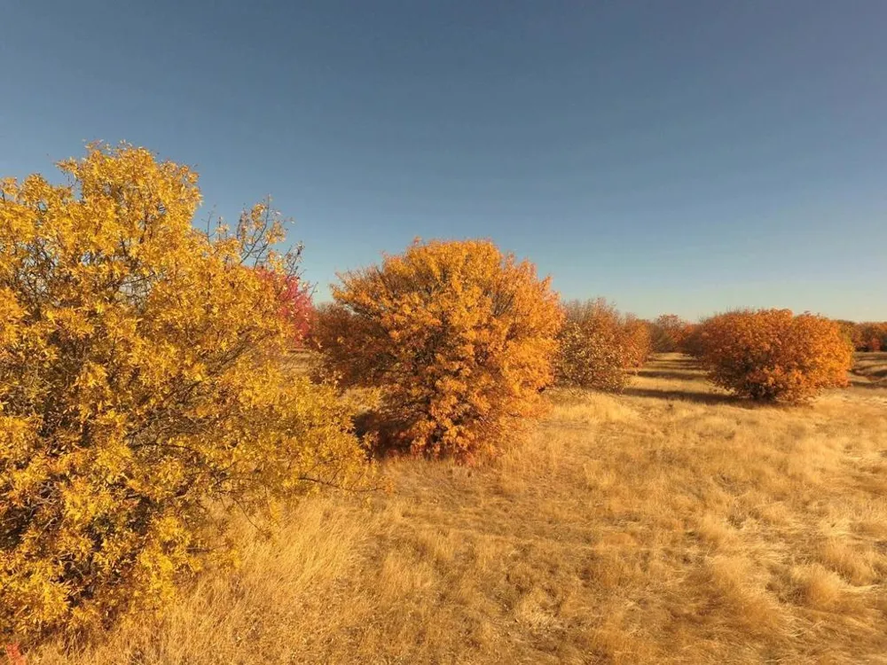 27643 County Road 88 Winters, CA 95694