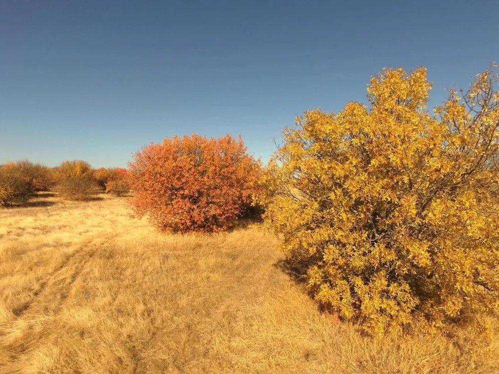 27643 County Road 88 Winters, CA 95694