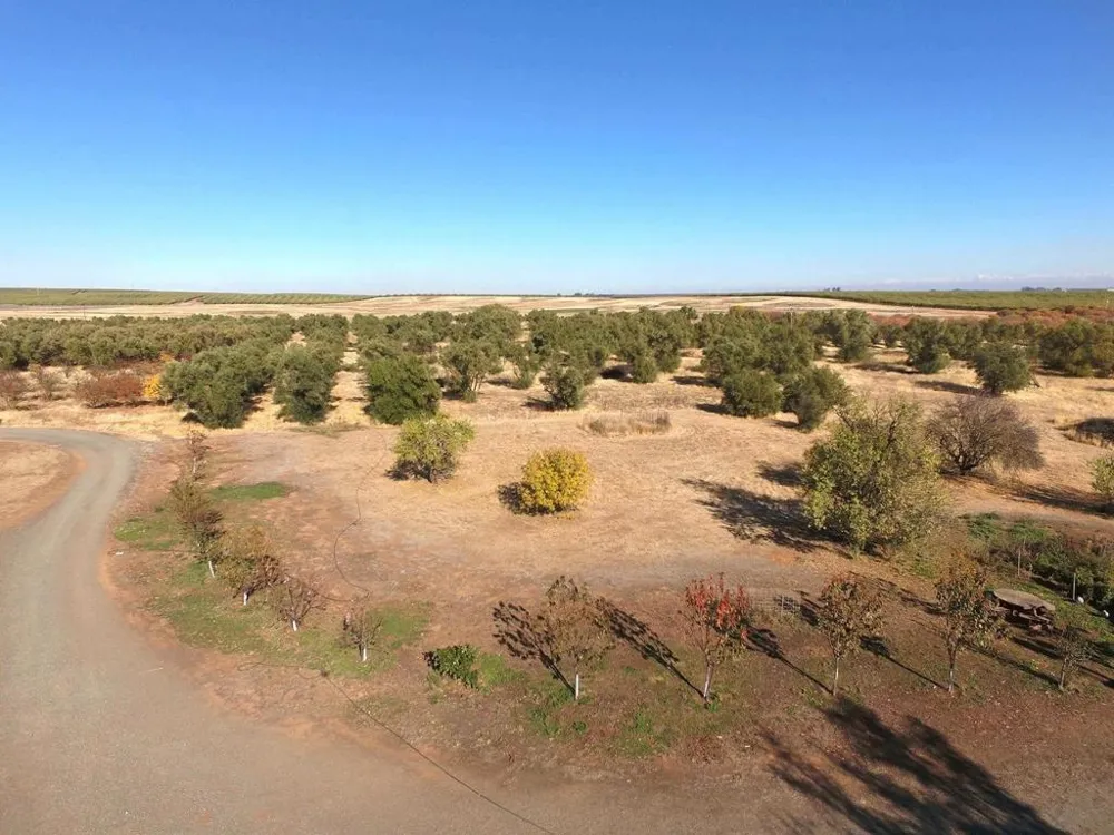 27643 County Road 88 Winters, CA 95694
