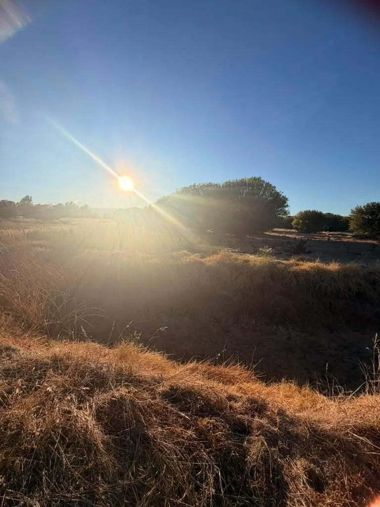 27643 County Road 88 Winters, CA 95694