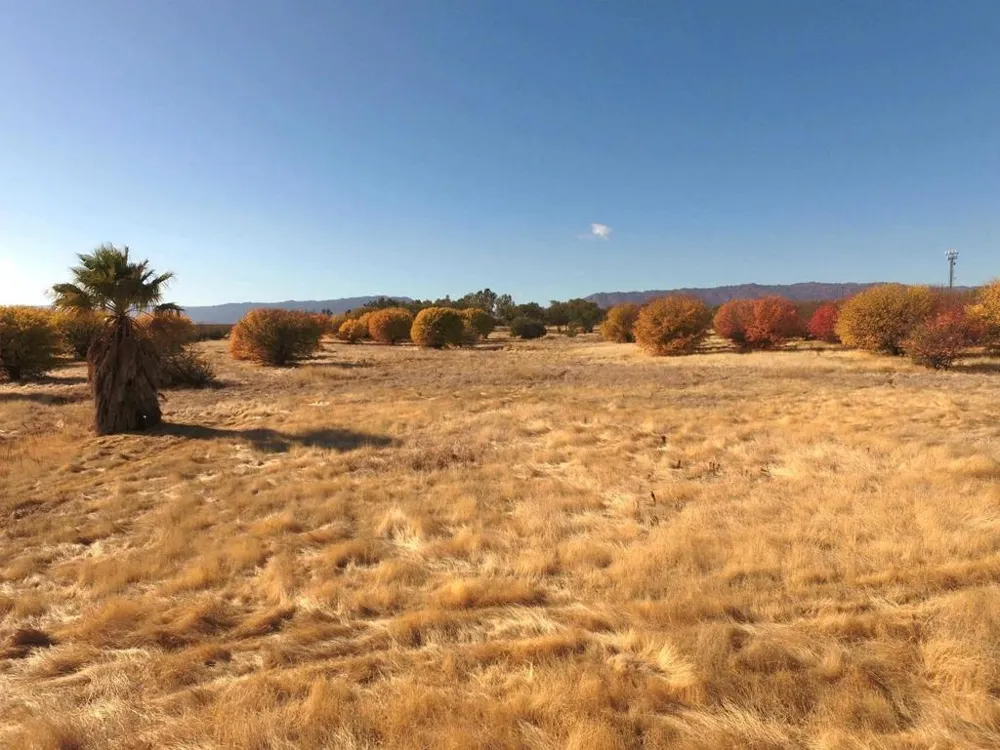 27643 County Road 88 Winters, CA 95694