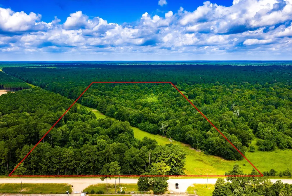 11 Pelican Road Shepherd, TX 77371
