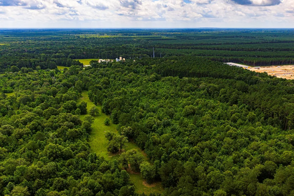 11 Pelican Road Shepherd, TX 77371