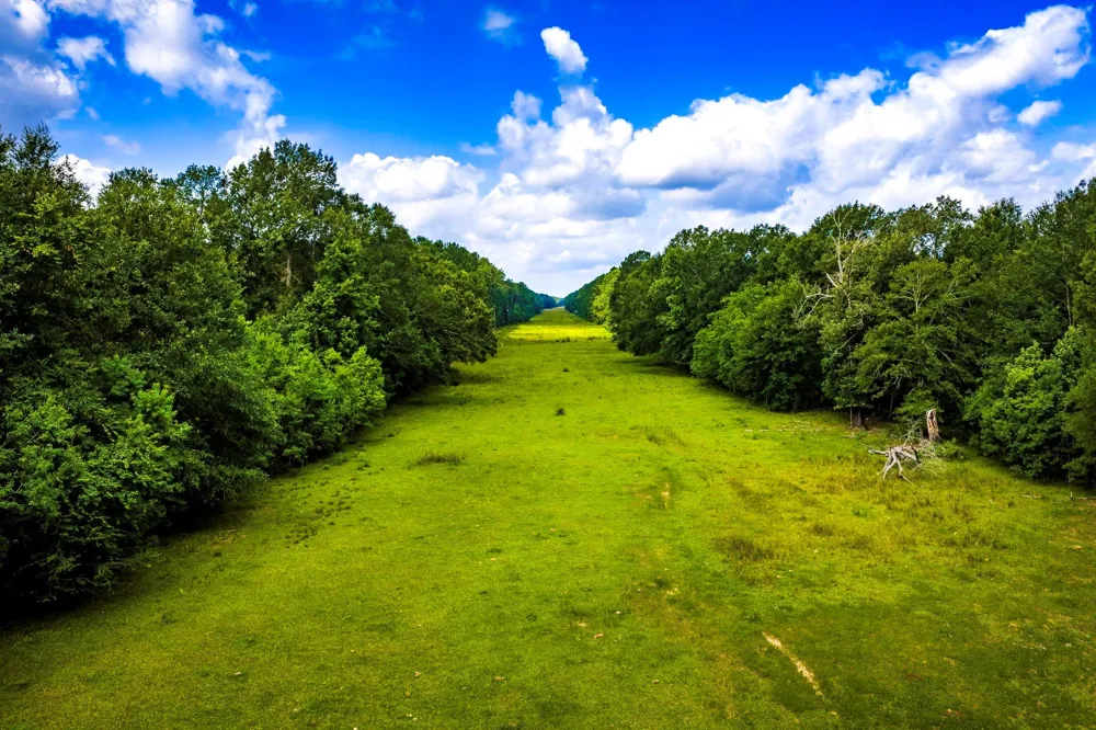 11 Pelican Road Shepherd, TX 77371