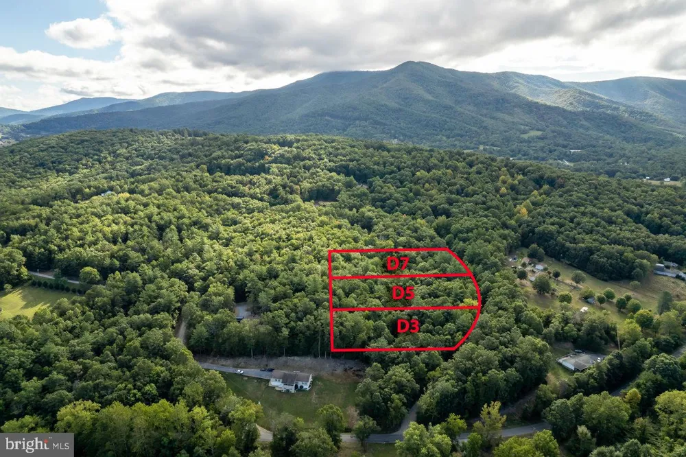 HOLIDAY HILL RD. Luray, VA 22835
