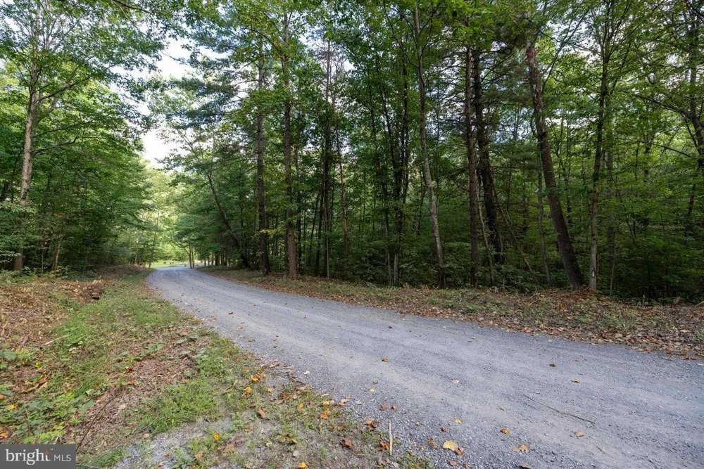 HOLIDAY HILL RD. Luray, VA 22835