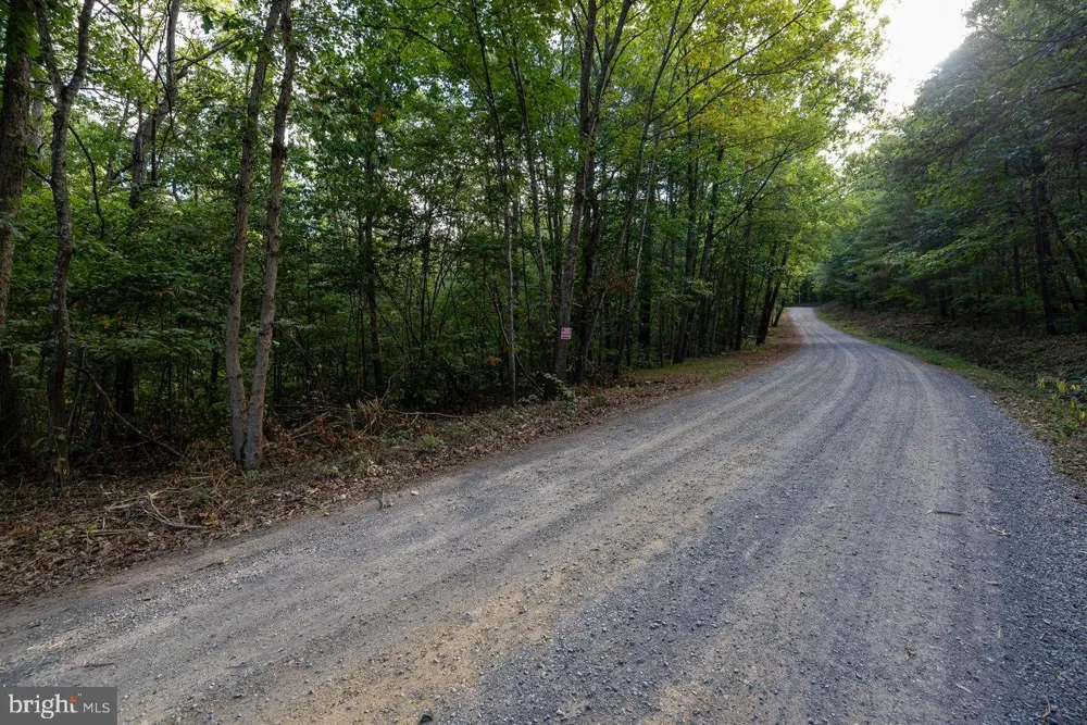 HOLIDAY HILL RD. Luray, VA 22835