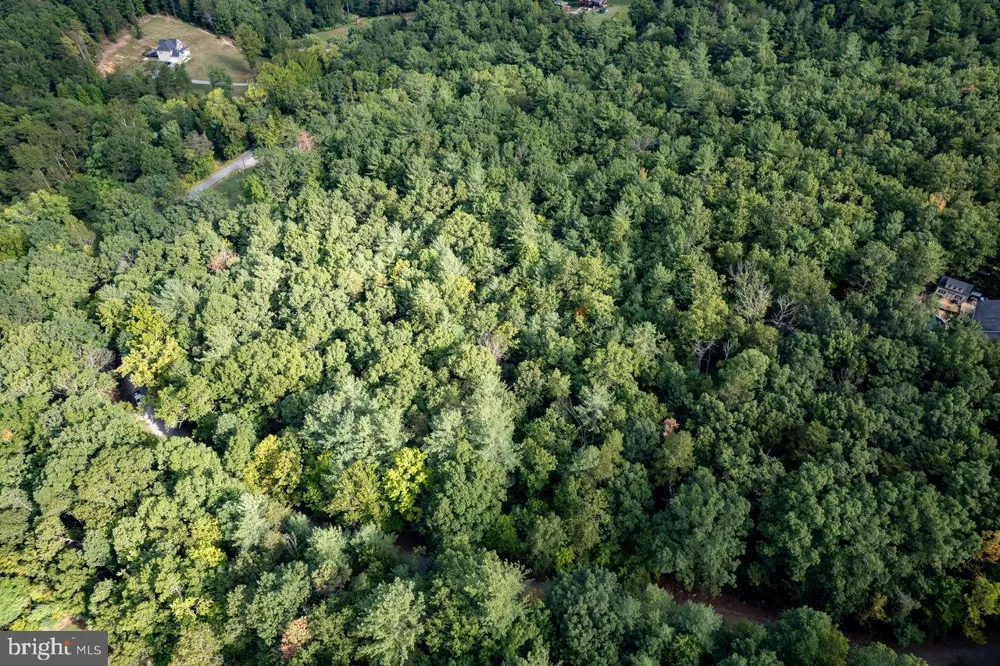 HOLIDAY HILL RD. Luray, VA 22835