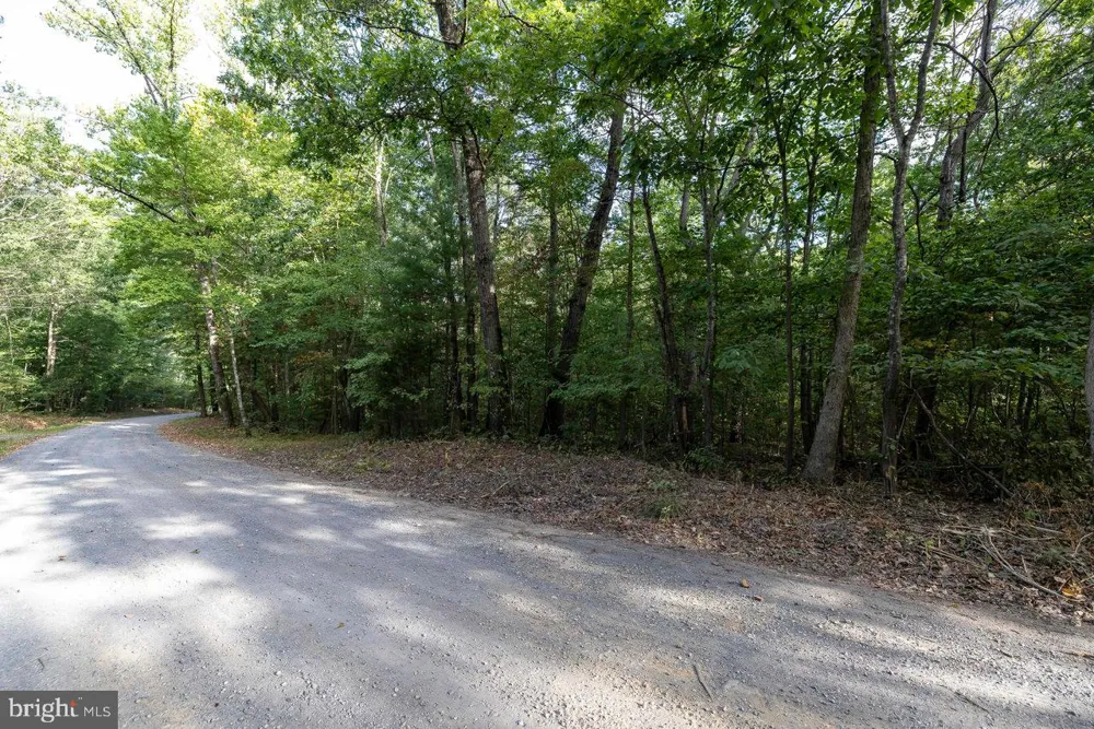 HOLIDAY HILL RD. Luray, VA 22835
