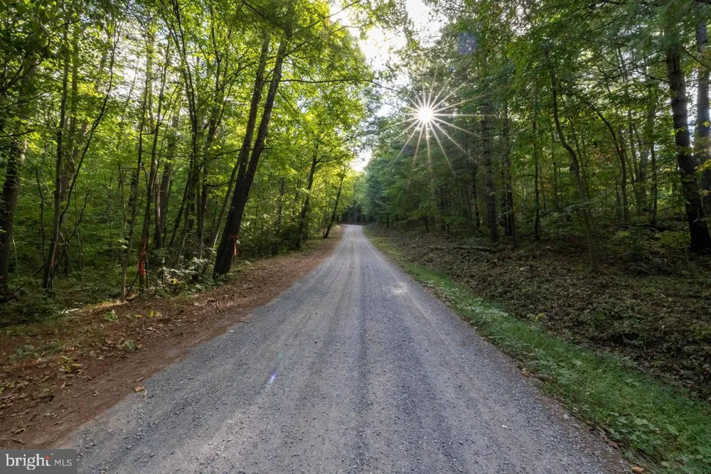 HOLIDAY HILL RD. Luray, VA 22835