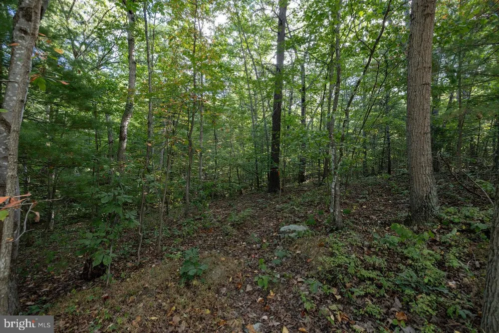 HOLIDAY HILL RD. Luray, VA 22835