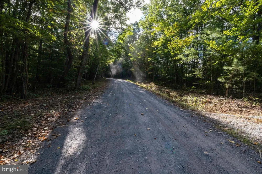 HOLIDAY HILL RD. Luray, VA 22835