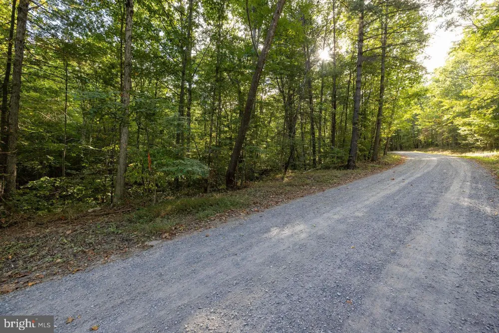 HOLIDAY HILL RD. Luray, VA 22835