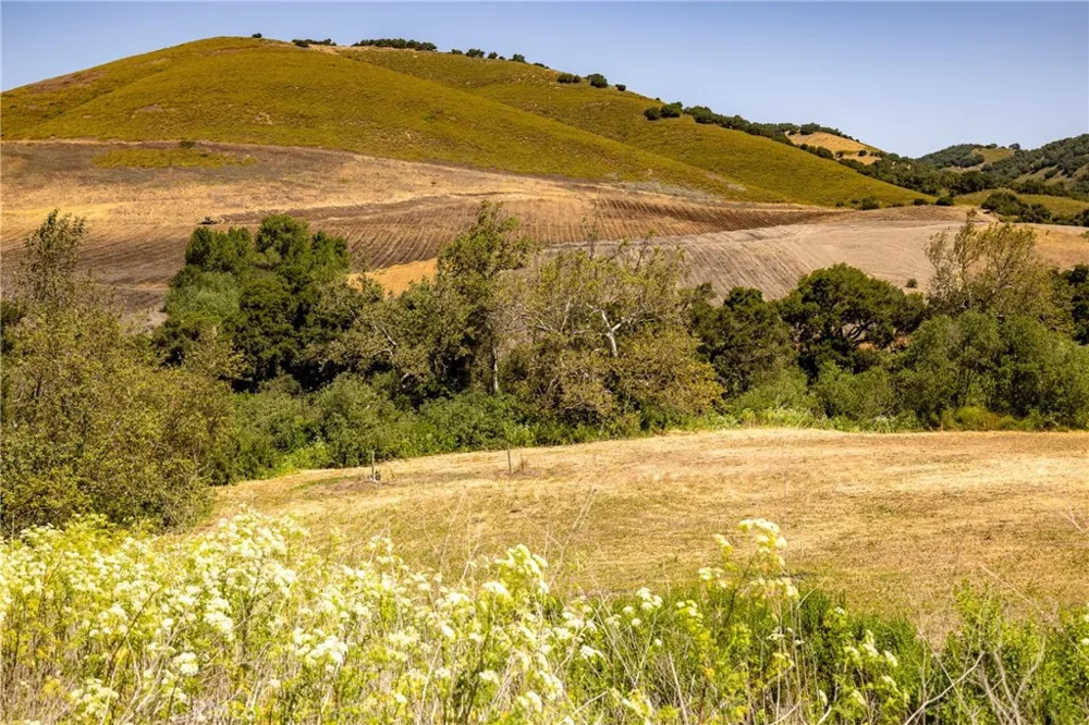 680 Spring Canyon Lane Nipomo, CA 93444