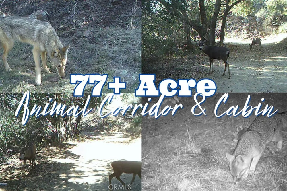 28618 Chihuahua Valley Road Warner Springs, CA 92086