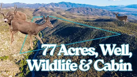 28618 Chihuahua Valley Road