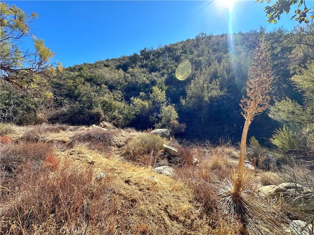 28618 Chihuahua Valley Road Warner Springs, CA 92086