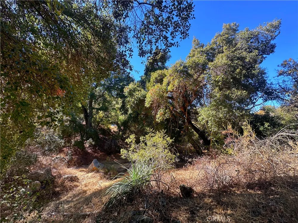 28618 Chihuahua Valley Road Warner Springs, CA 92086