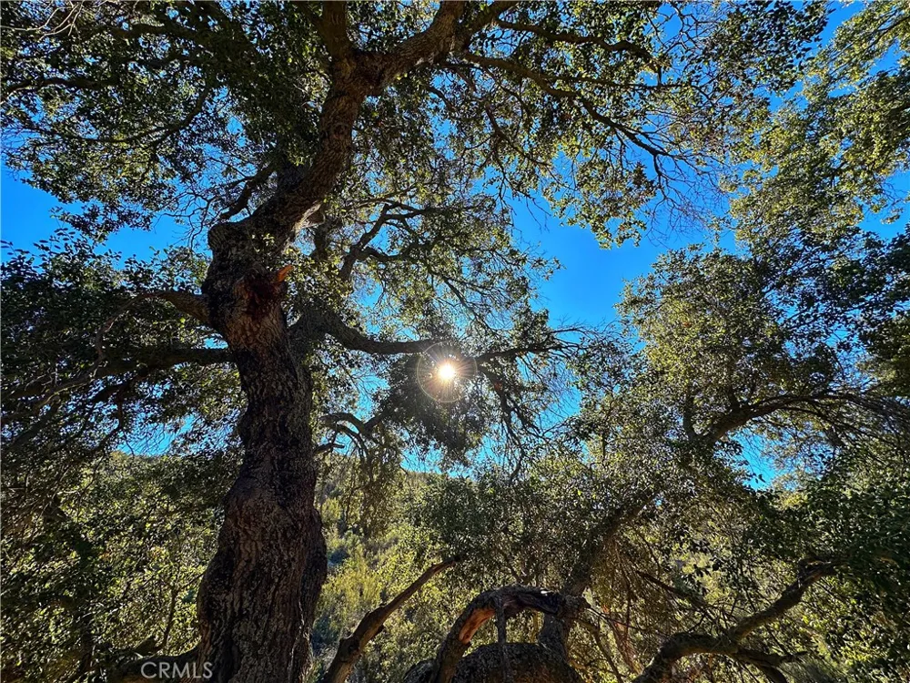 28618 Chihuahua Valley Road Warner Springs, CA 92086