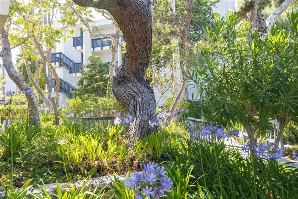 3601 W Hidden Lane #109 Rolling Hills Estates, CA 90274